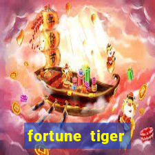 fortune tiger cassino pix